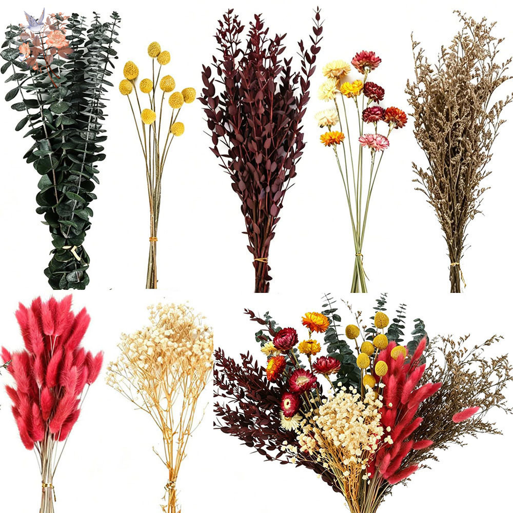 Florist Supply Bulk - Set de Flores Secas al por