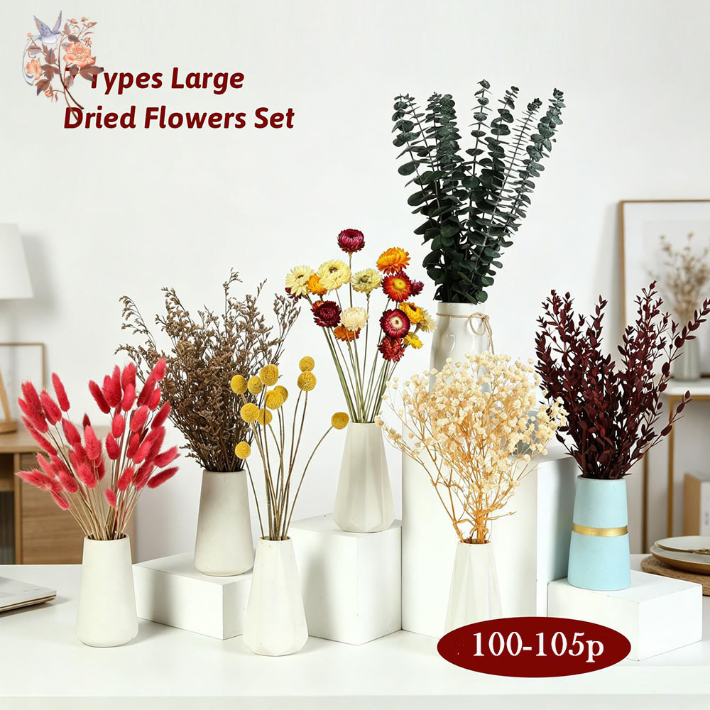 Set de Flores Secas al por May - Florist Supply Bulk reseña y precio