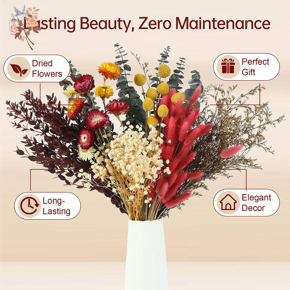 Set de Flores Secas al por May - Florist Supply Bulk reseña y precio