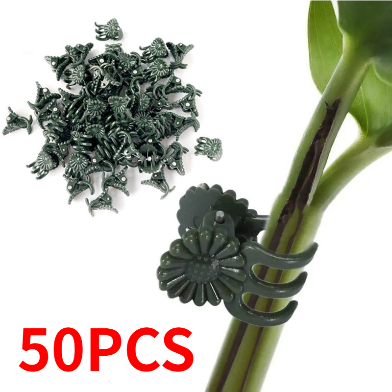 50 clips de 5 garras verde osc - Florist Supply Bulk reseña y precio