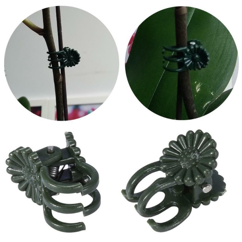 50 clips de 5 garras verde osc - Florist Supply Bulk reseña y precio