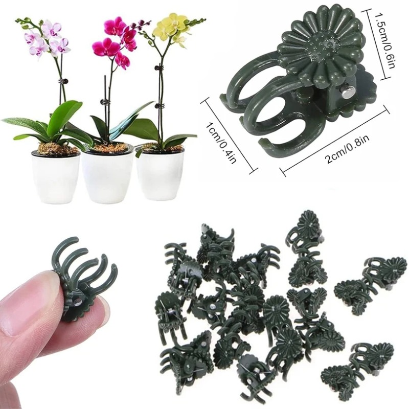 50 clips de 5 garras verde osc - Florist Supply Bulk reseña y precio
