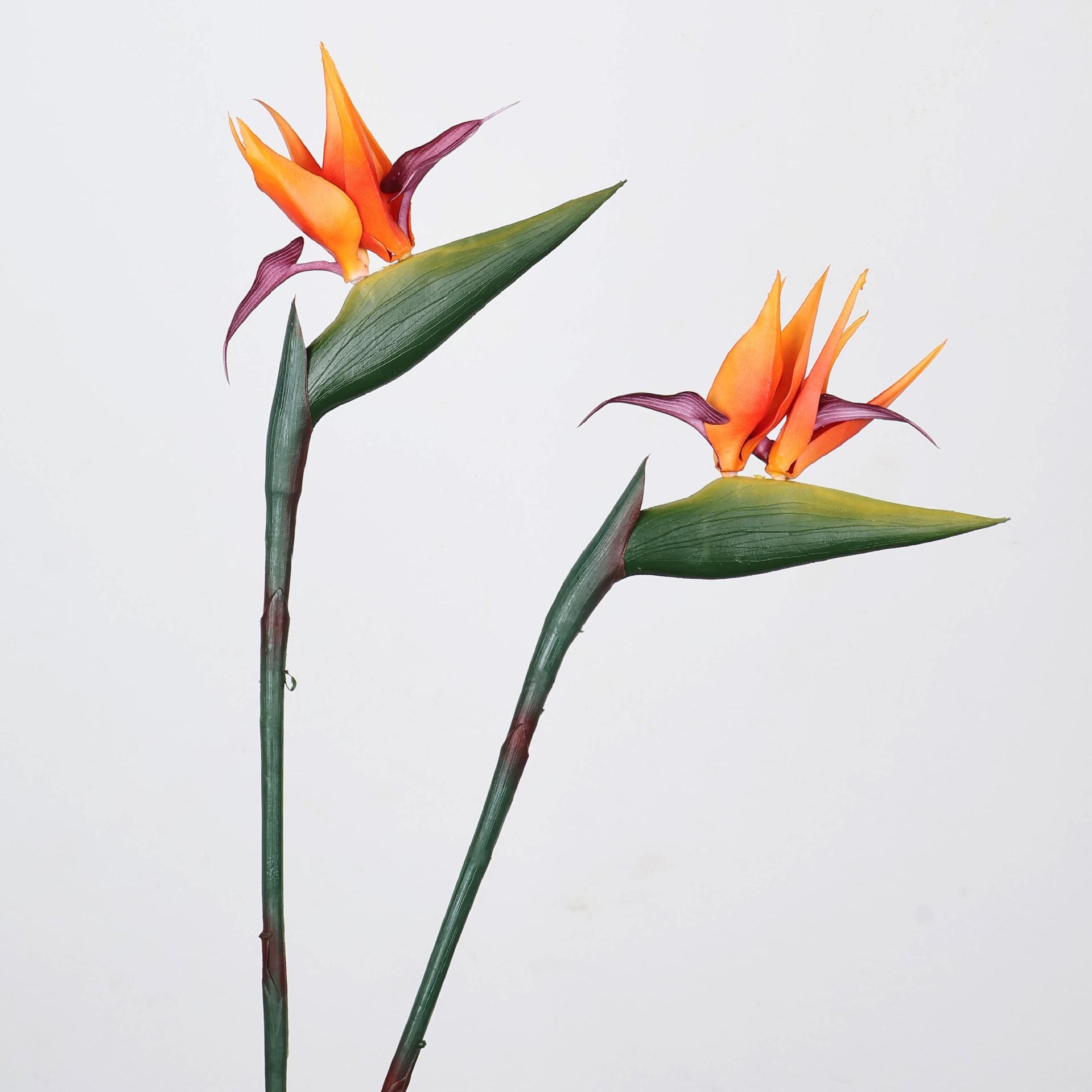 33 Inch Artificial Bird Of Par - Florist Supply Bulk reseña y precio